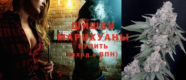 стаф Волосово