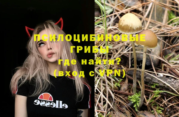 стаф Волосово