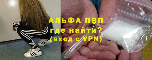 стаф Волосово